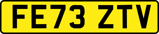 FE73ZTV