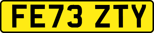 FE73ZTY