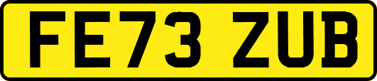 FE73ZUB