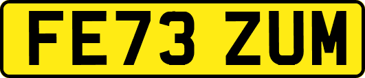 FE73ZUM
