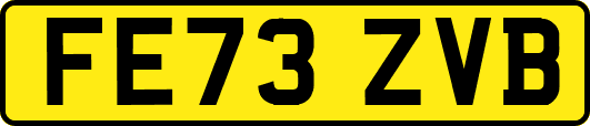 FE73ZVB