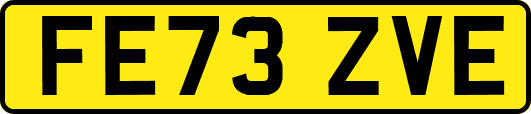 FE73ZVE