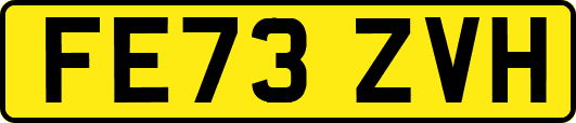 FE73ZVH