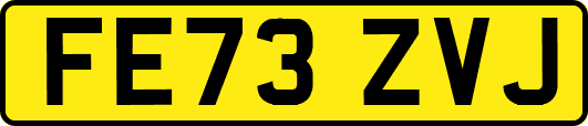 FE73ZVJ