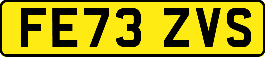 FE73ZVS