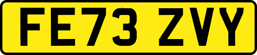 FE73ZVY