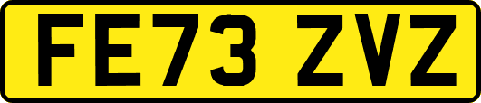 FE73ZVZ