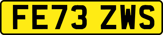 FE73ZWS
