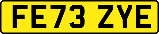 FE73ZYE