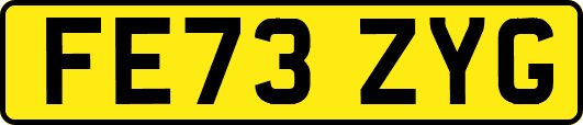 FE73ZYG