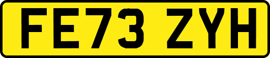 FE73ZYH