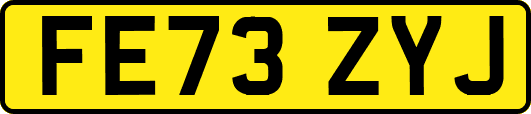 FE73ZYJ