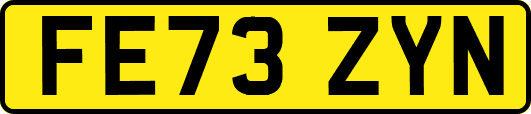 FE73ZYN