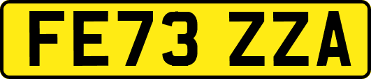 FE73ZZA