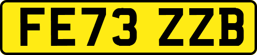 FE73ZZB