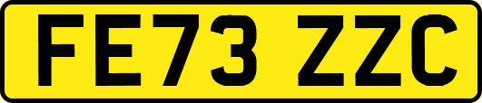 FE73ZZC