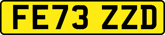FE73ZZD