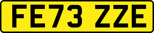 FE73ZZE