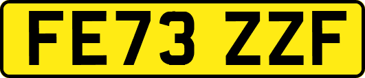 FE73ZZF