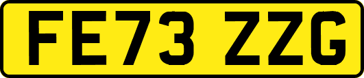 FE73ZZG