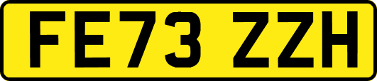 FE73ZZH