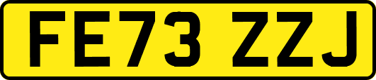 FE73ZZJ