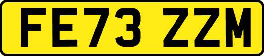 FE73ZZM
