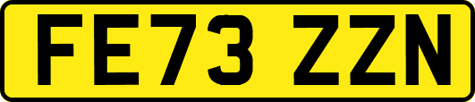 FE73ZZN