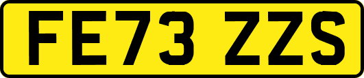 FE73ZZS