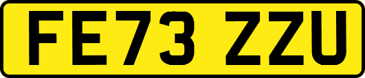 FE73ZZU