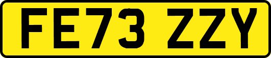 FE73ZZY