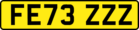 FE73ZZZ