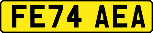 FE74AEA