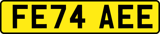 FE74AEE