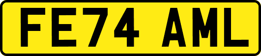 FE74AML