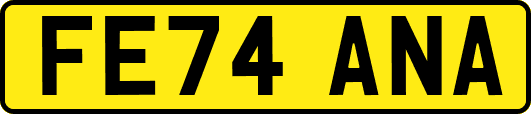 FE74ANA
