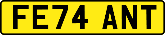 FE74ANT