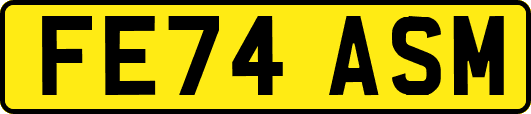FE74ASM