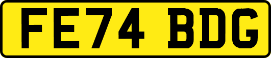 FE74BDG