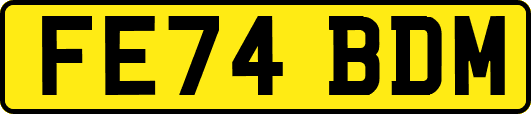 FE74BDM