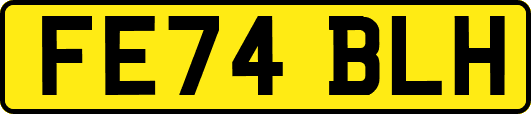 FE74BLH