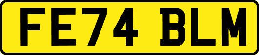 FE74BLM