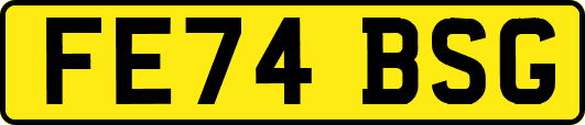 FE74BSG