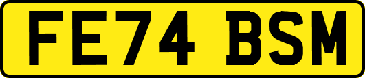 FE74BSM