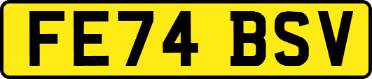 FE74BSV