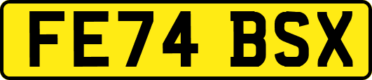 FE74BSX