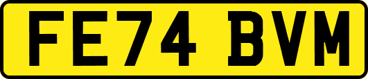 FE74BVM