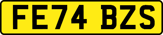 FE74BZS