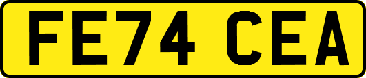 FE74CEA