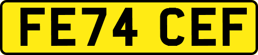 FE74CEF